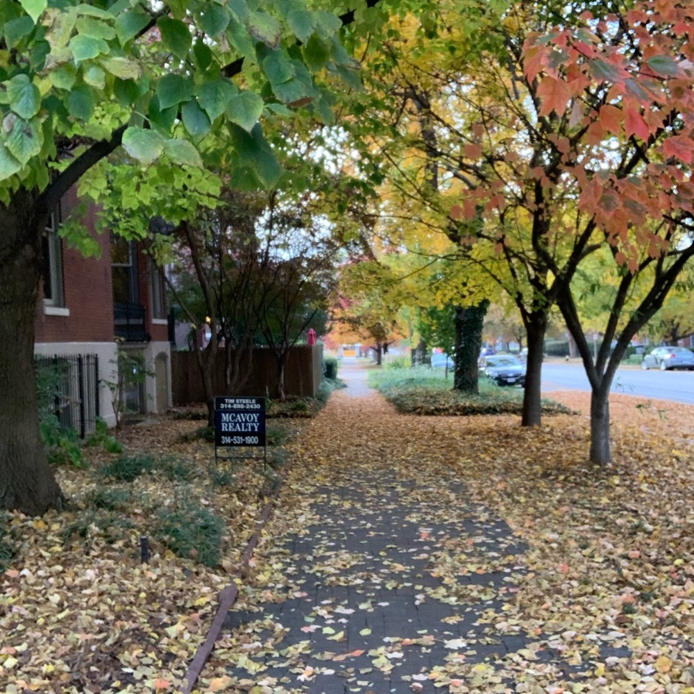 Meet your Posher, Vincent